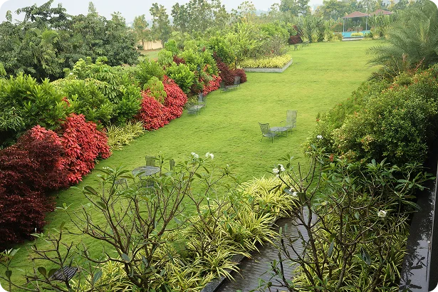 Lawns panorama