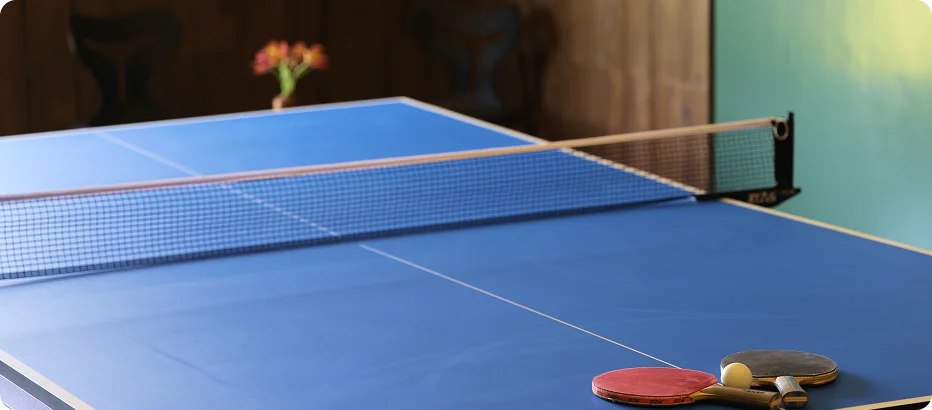 Table Tennis